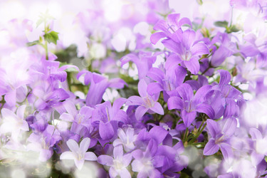 Similar image 6014979