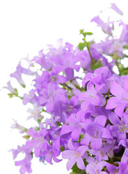 Similar image 6014980