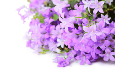 Similar image 6014981