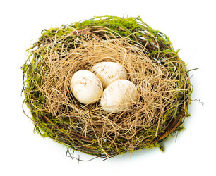 Similar image 6014983