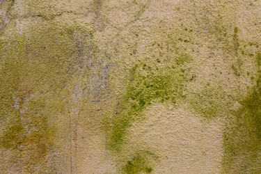 Similar image 6015088