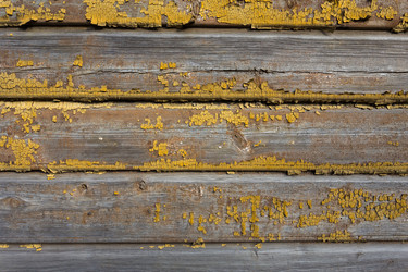 Similar image 6015120