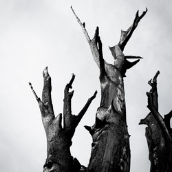 Similar image 6015156