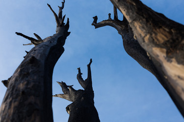 Similar image 6015157