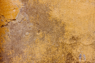 Similar image 6015169