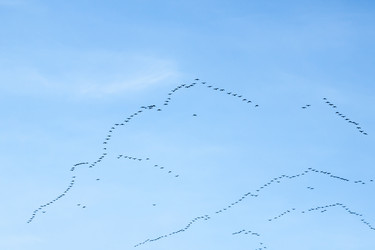 Similar image 6015181