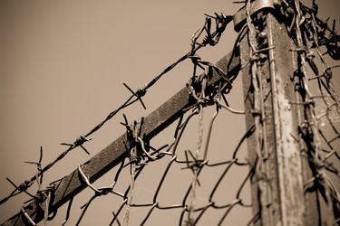 Similar image 6015190