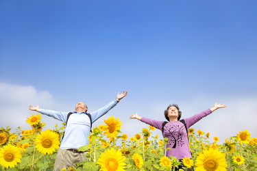 Similar image 6015212