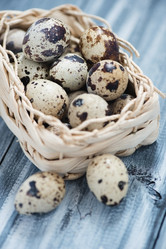 Similar image 6015239