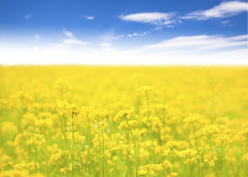 Similar image 6015278