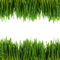 Similar image 6015338