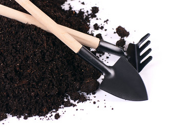 Similar image 6015342