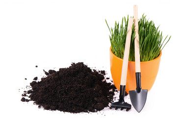 Similar image 6015343