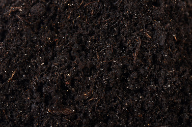 Similar image 6015358