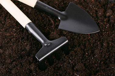 Similar image 6015360