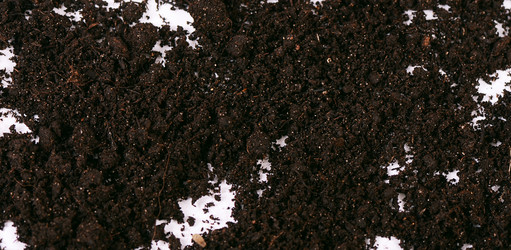 Similar image 6015361