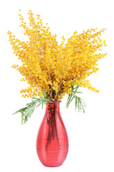 Similar image 6015365