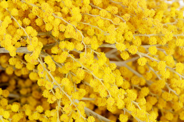 Similar image 6015370