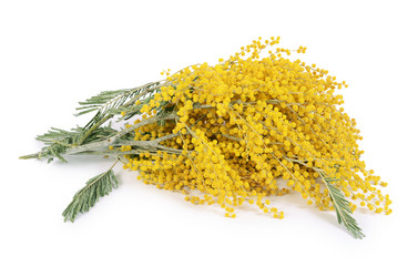 Similar image 6015371