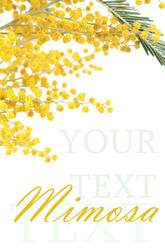 Similar image 6015377