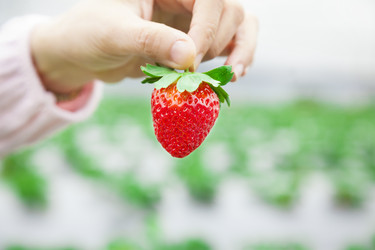 Similar image 6015428