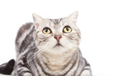 Similar image 6015578