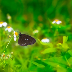 Similar image 6015617