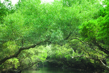 Similar image 6015663