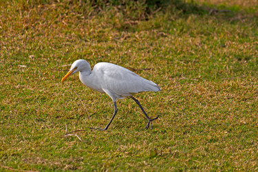 Similar image 6016146