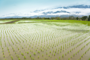 Similar image 6016211