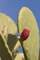 Similar image 6016326