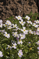 Similar image 6016327