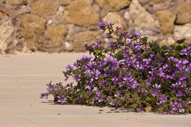 Similar image 6016335