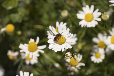 Similar image 6016336