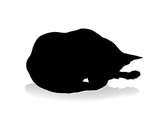 Similar image 6016502