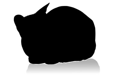 Similar image 6016503