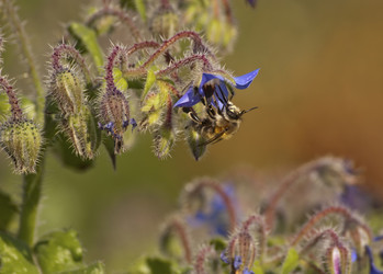 Similar image 6016535