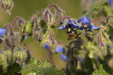 Similar image 6016537