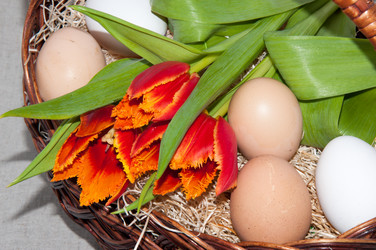 Similar image 6016572