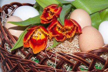 Similar image 6016573