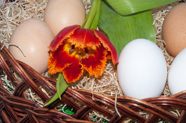 Similar image 6016574