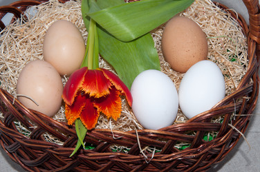 Similar image 6016576