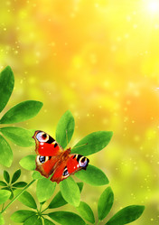 Similar image 6016725