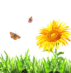 Similar image 6016726