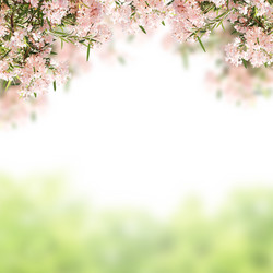 Similar image 6016740