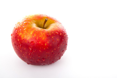 Similar image 6016816