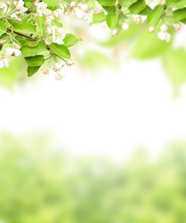 Similar image 6016921