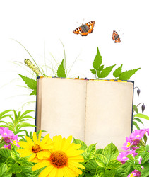 Similar image 6016926