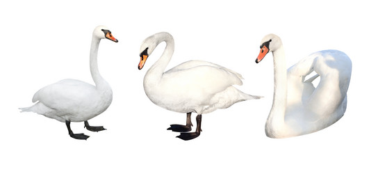 Similar image 6016927