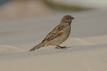 Similar image 6017580